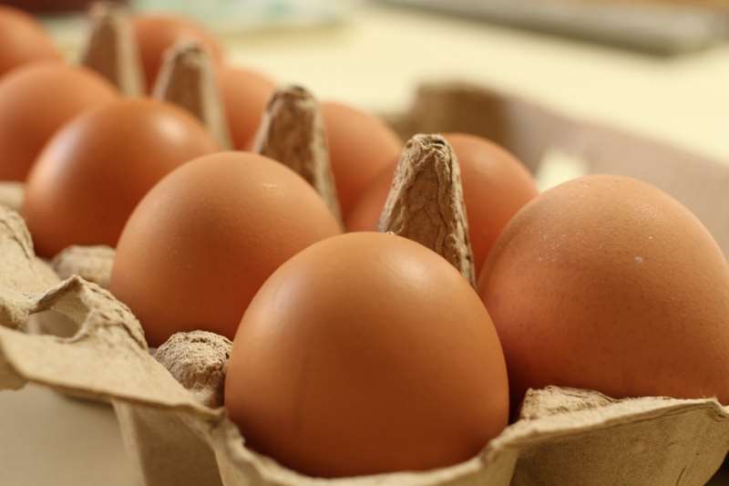 栄養満点と言われている卵は一日何個まで食べてもいいの？