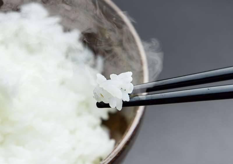 白米と無洗米の違い